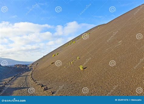 Sparse Vegetation On Volcanic Hills In Timanfaya National Park Stock