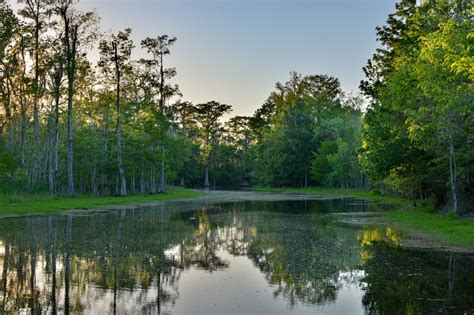 Louisiana Bayou Cajun Food Trail Guide