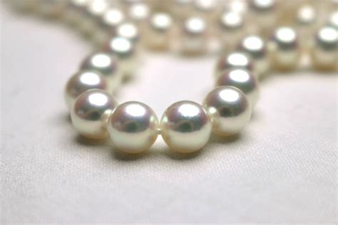 Freshwater vs Saltwater Pearls: Differences Explained - Pearls of Joy