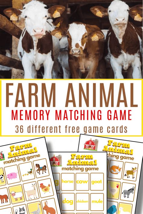 Farm Animal Memory Matching Game - Organized 31