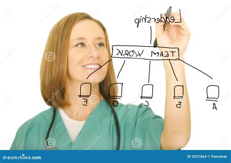 Nurse Drawing Leadership Chart Stock Photo Image Of Physician Flow