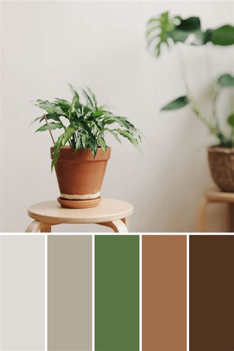 Potted Plant Color Palettes This Growing Home Color Palette