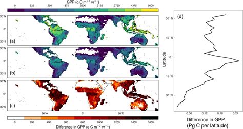 Les forêts tropicales humides montrent que le phosphore est essentiel