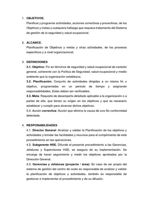 Planificación De La Actividad Preventiva Pdf Planificación Business