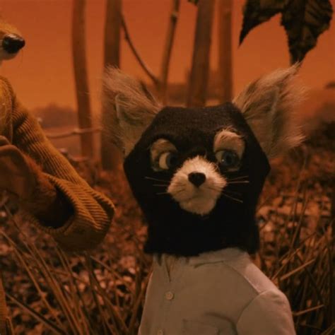 Kristofferson Mr Fox Wallpaper Fantastic Mr Fox Fantastic Mr Fox Movie