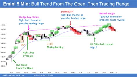 SP500 Emini setups | Brooks Trading Course