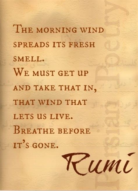 Rumi Persian Poetry Rumi Quotes Rumi Inspirational Words