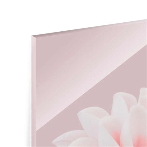 Dahlie Blume Lavendel Rosa Wei Glasbild Im Hochformat Kaufen