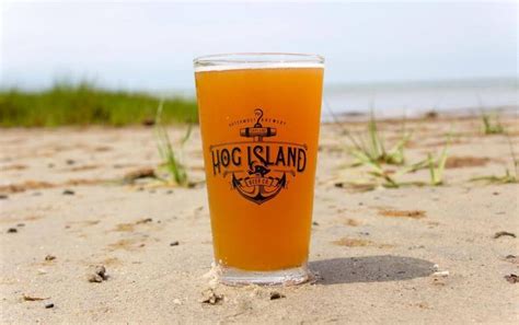 Hog Island Beer Tap Hog Island Beer