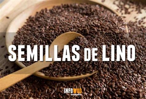 SEMILLAS de LINO sus propiedades y en qué nos benefician