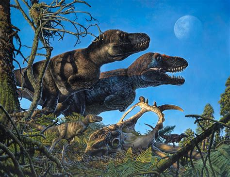 Were Dinosaurs Warm Blooded Research Team Discovers Arctic Dinosaur