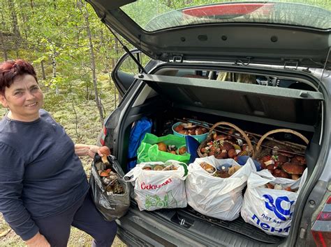 Грибы из Карелии вывозят багажниками