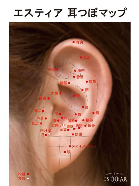 耳つぼマップ 耳つぼダイエット 体 ツボ つぼマッサージ