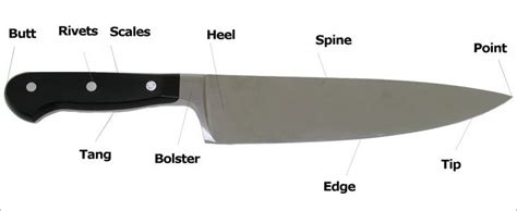 Parts Of A Knife Labeled Atelier Yuwa Ciao Jp