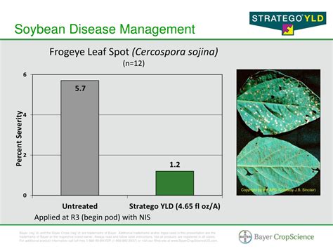 PPT - Stratego YLD Corn and Soybean Fungicide - 2012 Brand Guide