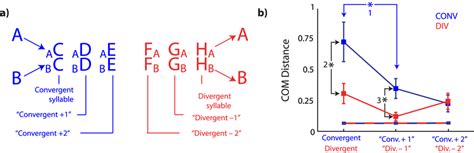 Temporal Extent Of Sequence Dependent Phonological Differences