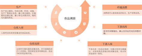 《2024食品冷链行业物流与供应链数字化转型白皮书》发布！