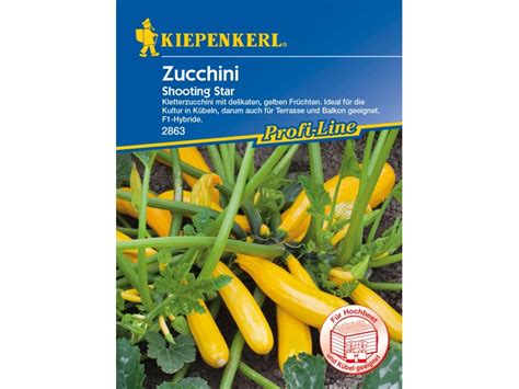 Kiepenkerl Profi Line Zucchini Shooting Star Kaufen Bei Obi