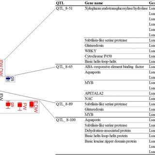 Candidate Gene Mining Of Lg Qtl Illustration Of Lg With The Qtl