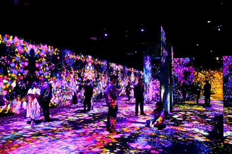 Teamlab Borderless Review Tokyos New Digital Art Museum In Odaiba