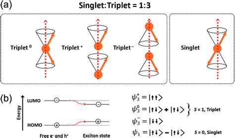 The Leap From Organic Light Emitting Diodes To Organic Semiconductor