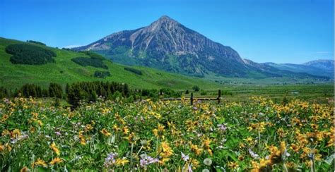 Top 6 Easy Crested Butte Hiking Trails Close to Town