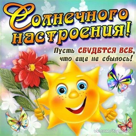 Pin on Позитив_Радость_Счастье