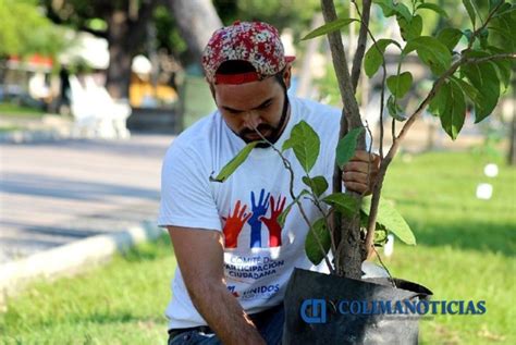 Más De 4 Mil árboles Se Han Sembrado Con El Programa De Reforestación