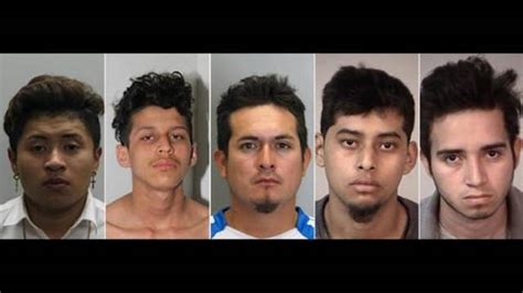 Ms 13 Members Accused Of Stabbing 16 Year Old 100 Times Latest News