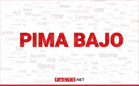 13 Mind Blowing Facts About Pima Bajo Facts Net