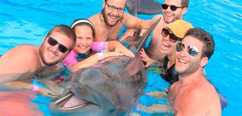 Puerto Vallarta Family Activities Tours & Activities - Amstar Excursions