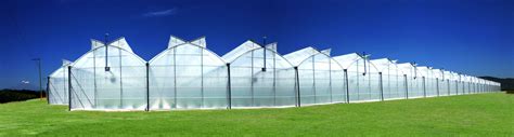 Types of plastic greenhouse cladding: which is the best