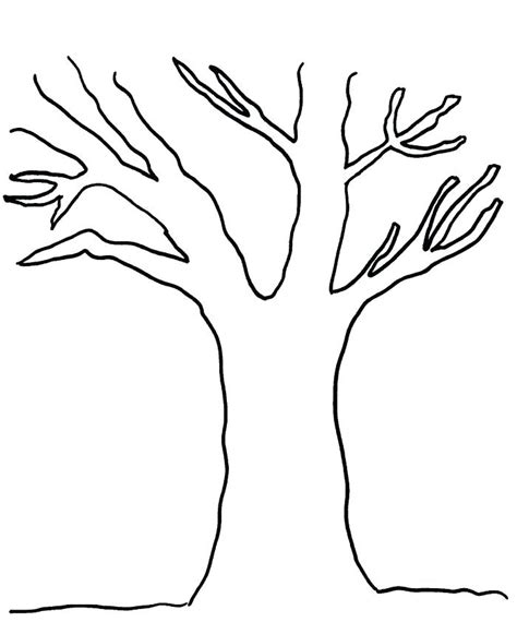 Sketches Of Trees Without Leaves At Explore