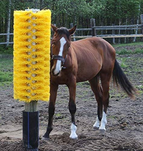 Back Scratcher From Street Sweeper Brushes Repurposedmaterials