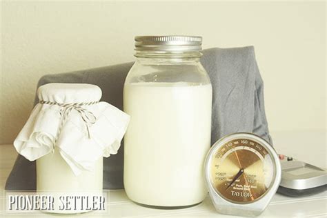 How to Make Yogurt Starter | Homesteading Simple Self Sufficient Off ...