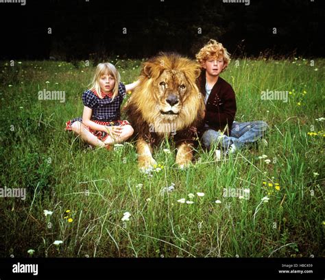 NAPOLEON AND SAMANTHA, Jodie Foster, Johnny Whitaker, 1972 Stock Photo ...