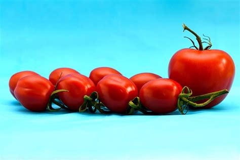 Tomatoes Vegetables Food Free Photo On Pixabay Pixabay