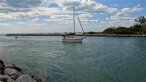 Message In A Bottle Dolphin Sightings At South Jetty Venice Florida