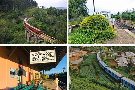 Pattipola Railway Station Attractions In Sri Lanka