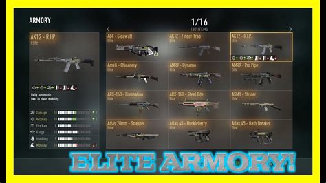 Call Of Duty Advanced Warfare My Elite Weapons Entire Armory