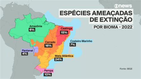 Mata Atlântica Concentra 24 Das Espécies Ameaçadas No Brasil Meio