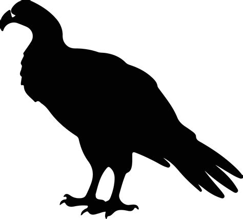 vulture black silhouette 38103425 Vector Art at Vecteezy