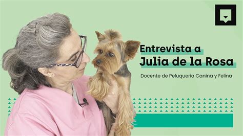 Una profesión en auge Julia de la Rosa te habla de la peluquería