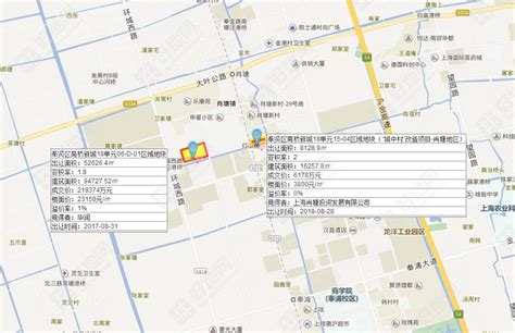 （最新成交）零溢价！肖塘投资06亿元竞得奉贤区南桥新城办公楼用地，楼面价3800元㎡地块