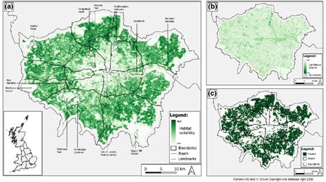 (a) Map of predicted habitat suitability for the west European hedgehog ...