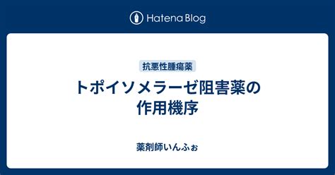 トポイソメラーゼ阻害薬の作用機序 薬剤師情報局