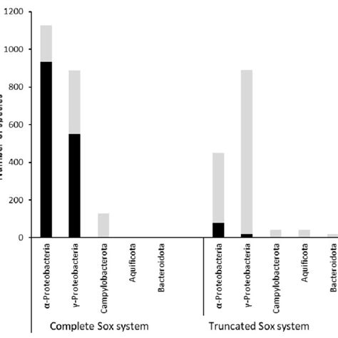 Occurrence Of Complete And Trunctated Sox Systems Among Five Bacterial