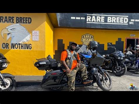 Hondaharleygurl Interviews Rare Breed Motorcycle Club Miami Chapter