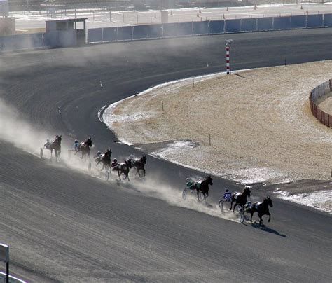 Meadowlands | Harness racing, Horse racing, Racing