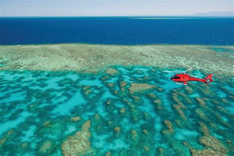 Great Barrier Reef Helicopter Tour with a picnic on a sand cay